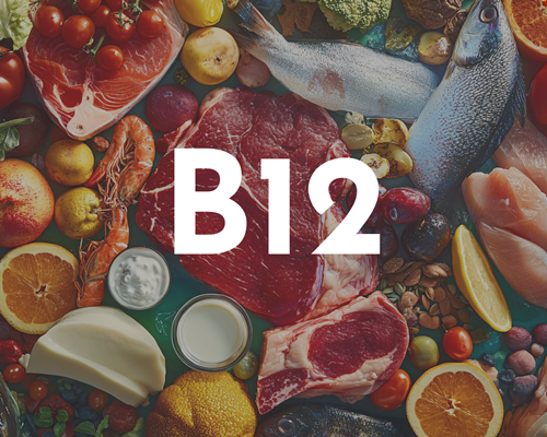 Vitamin B12 ist wichtig für die DNA-Bildung + Funktion des Nervensystems